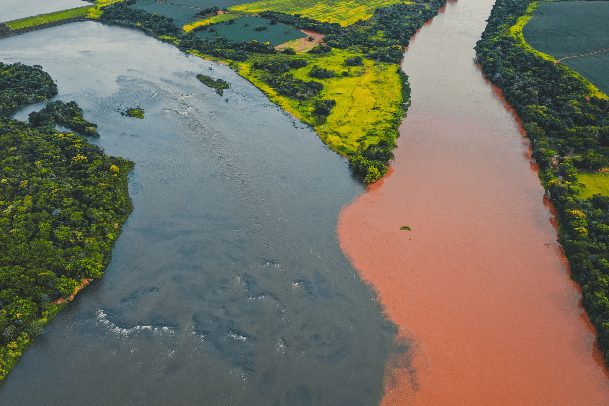 5 Curiosidades Sobre Manaus Que Você Precisa Saber 5 Curiosidades Sobre Amazonas Que Você Precisa Saber