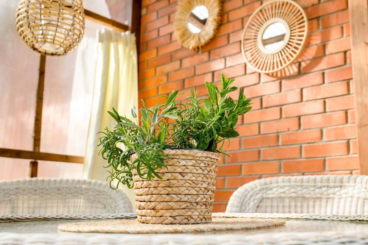 Como Plantar Um Jardim de Ervas em Sua Varanda! Como Plantar Um Jardim de Ervas em Sua Varanda!