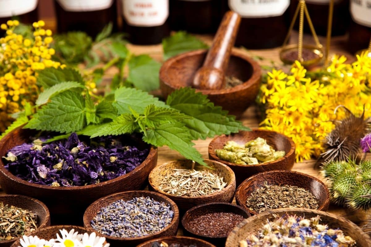 Como Plantar Um Jardim de Ervas em Sua Varanda! 10 Como Plantar Um Jardim de Ervas em Sua Varanda!