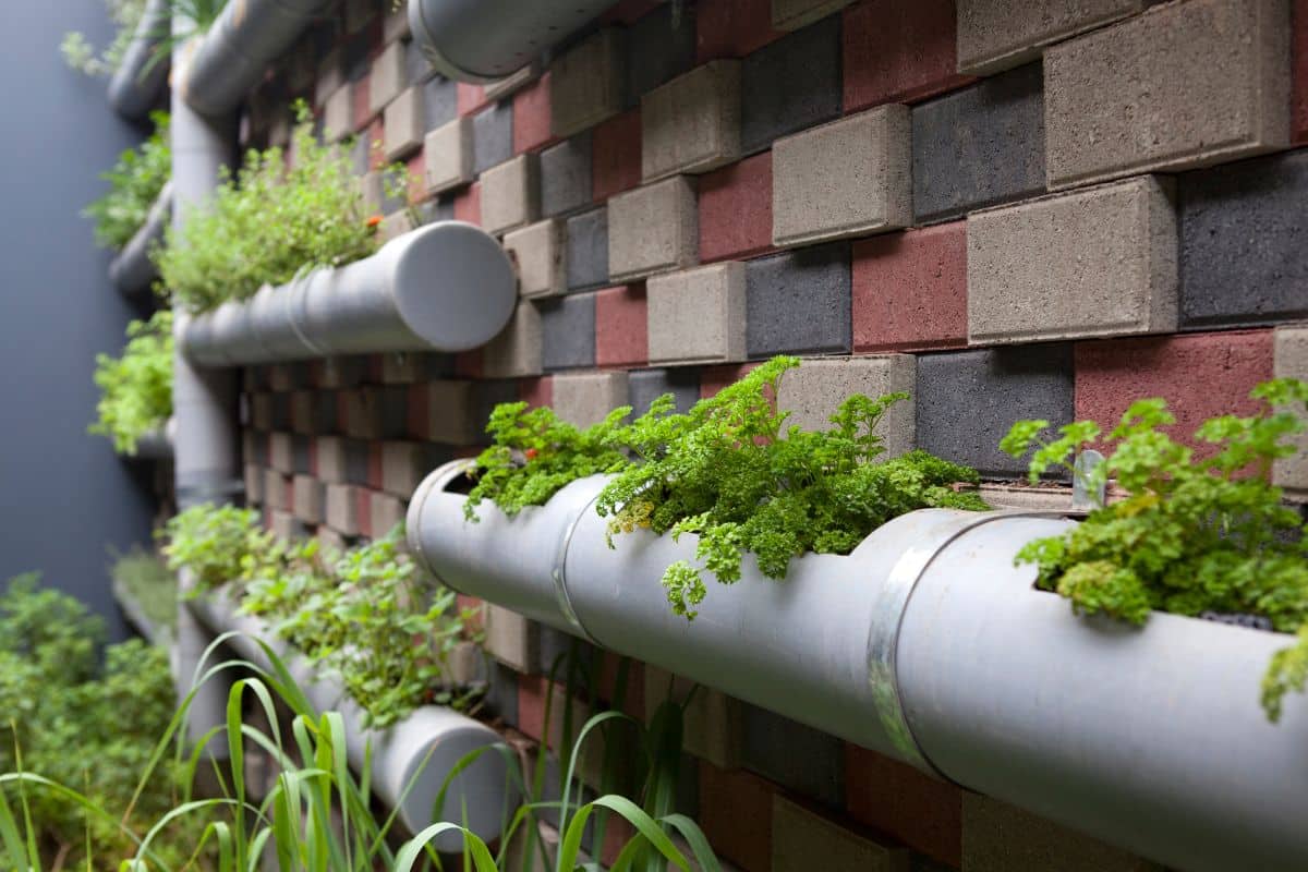 DIY: Como Fazer um Jardim Vertical em Casa 2 Como Criar um Jardim Vertical em Casa com DIY