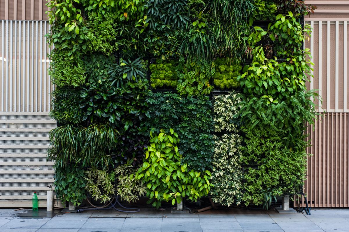 DIY: Como Fazer um Jardim Vertical em Casa 29 Como Criar um Jardim Vertical em Casa com DIY