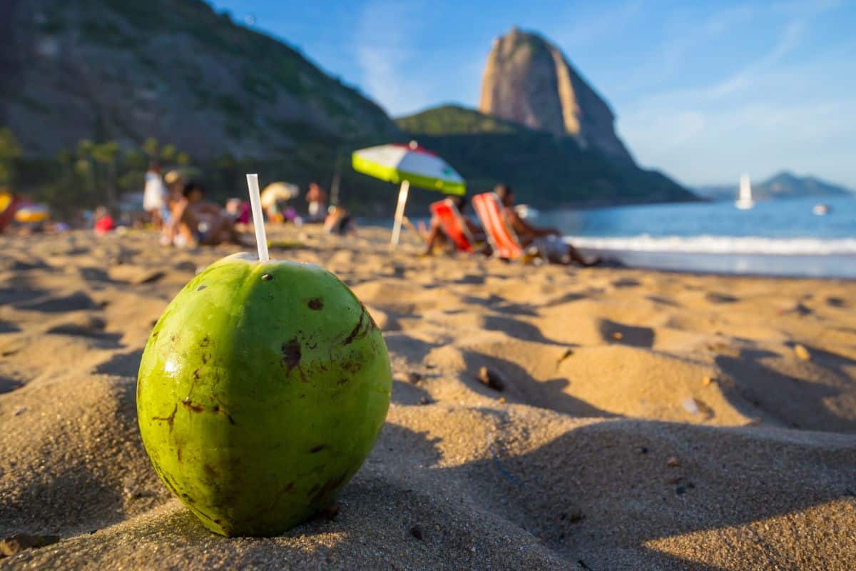 O Significado da Arquitetura do Pão de Açúcar para o Urbanismo Brasileiro 6 O Significado da Arquitetura do Pão de Açúcar para o Urbanismo Brasileiro