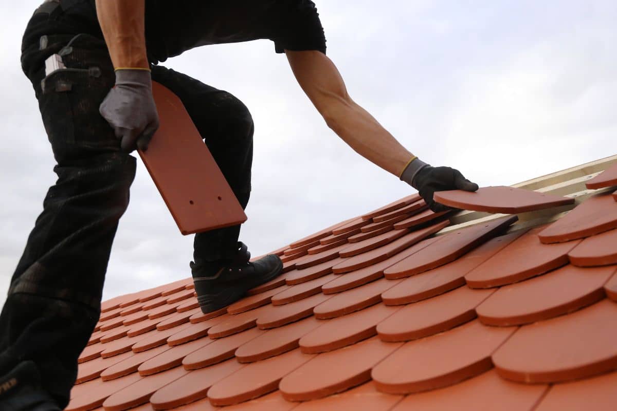 Tipos de Telhas para Cada Projeto: Escolhendo a Melhor Opção para Sua Construção! 2 Tipos de Telhas para Cada Projeto: Escolhendo a Melhor Opção para Sua Construção!