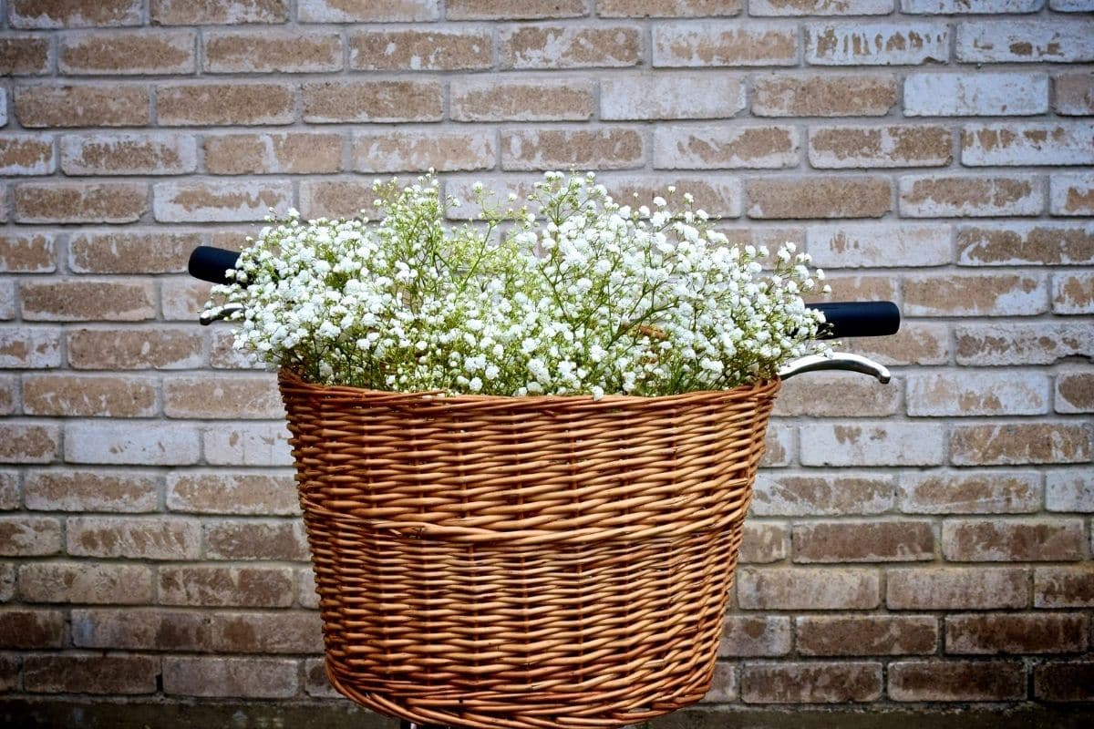 Flores Mosquitinho: O Toque Mágico na Decoração do Seu Casamento