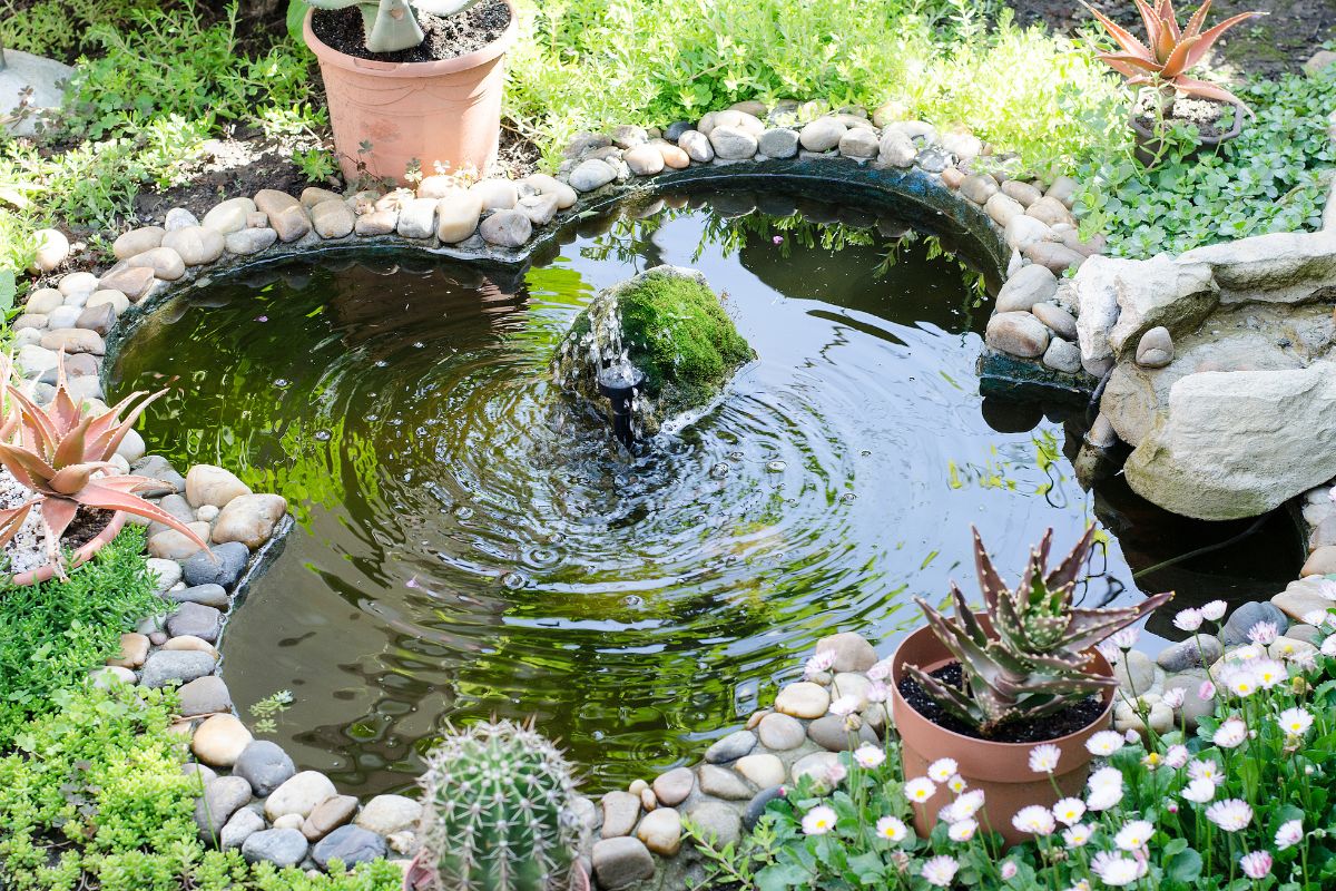 Curiosidades: Os 5 Tipos de Pedras Mais Usadas em Jardins 1 Curiosidades: Os 5 Tipos de Pedras Mais Usadas em Jardins
