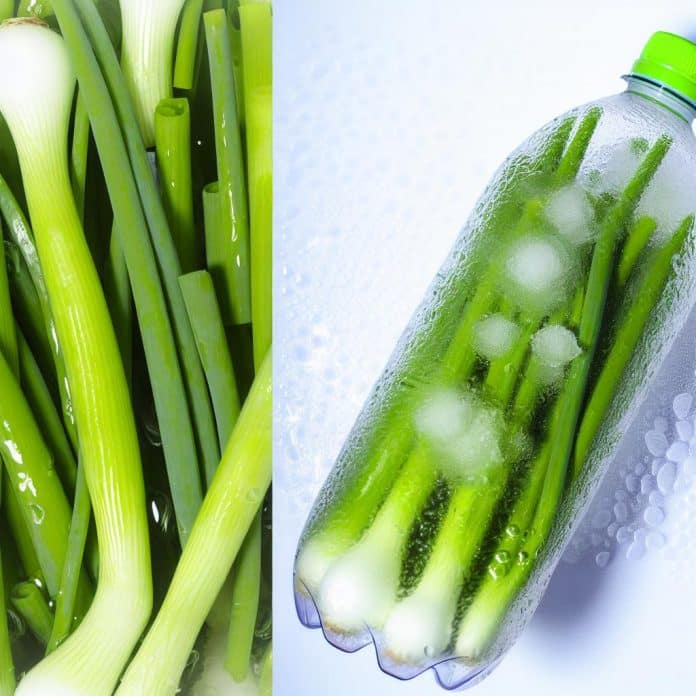 Dica econômica: congelar cebolas verdes em garrafas plásticas