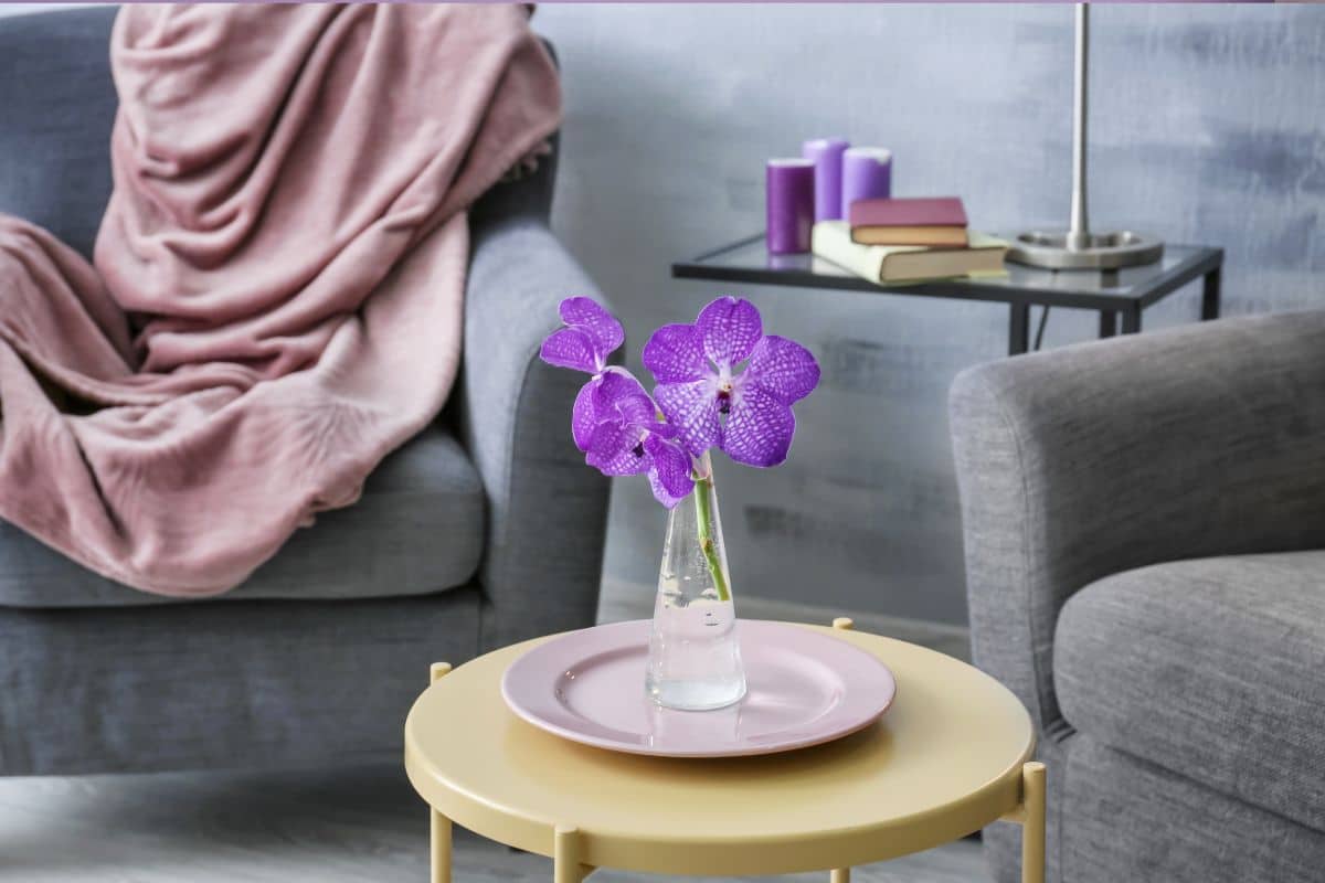 Quarto Roxo: 5 Dicas para Criar um Ambiente Tranquilo e Elegante 23 Quarto Roxo: 5 Dicas para Criar um Ambiente Tranquilo e Elegante