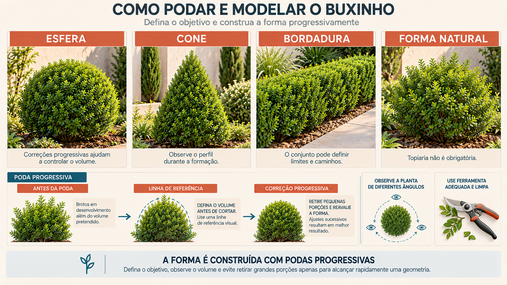 Buxinho: Como Cuidar, Cultivar, Podar e Usar no Jardim 14 Guia de poda do buxinho mostrando formas de esfera, cone, bordadura e crescimento natural