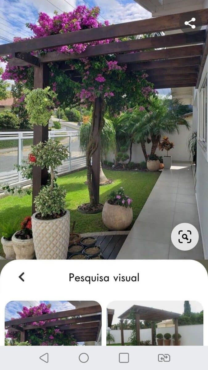 Ideias inspiradoras de plantas para embelezar seu pergolado.