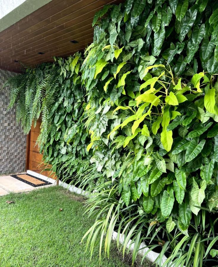 Transformando Espaços: Como Criar um Muro Verde Sustentável em Sua Casa