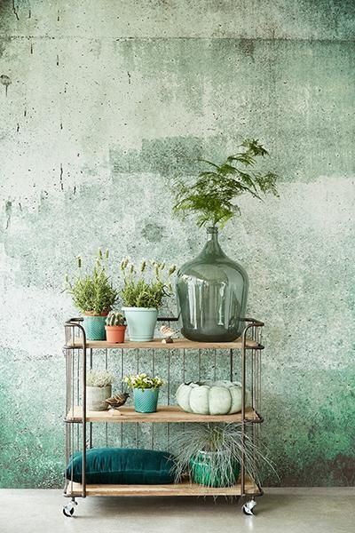 Transformando Espaços: Como Criar um Muro Verde Sustentável em Sua Casa