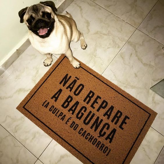 30 Capachos Personalizados para Dar Boas-vindas para você escolher o seu! 15 5 Capachos Personalizados para Dar Boas-vindas
