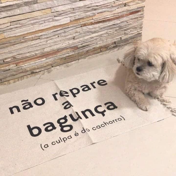 30 Capachos Personalizados para Dar Boas-vindas para você escolher o seu! 19 5 Capachos Personalizados para Dar Boas-vindas