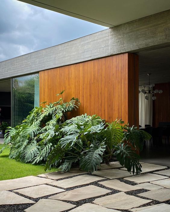 14 Plantas para Jardim que Florescem o Ano Todo e Encantam 7 7. A costela-de-adão é uma planta resistente e de fácil cultivo, que conta com folhagens amplas e vazadas, sendo esse o detalhe mais marcante de sua aparência.