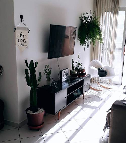 15 Ideias de Salas de TV Decoradas que Você Vai Adorar 6 Móveis retrô e plantas na composição de uma sala simples e linda!