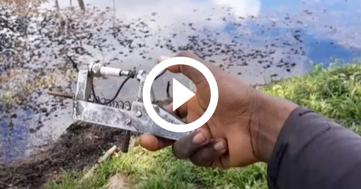 5 maneiras criativas de fazer um alarme espanta ladrão. 1 5 maneiras criativas de fazer um alarme espanta ladrão.