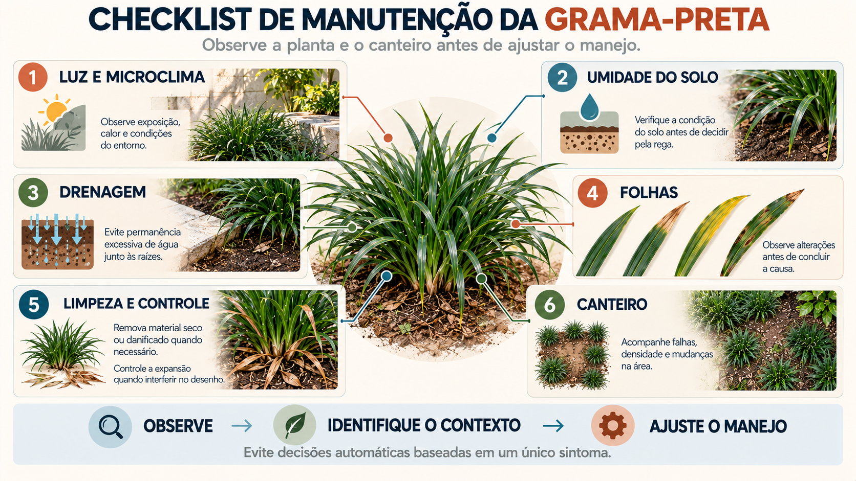 Grama Preta: Como Cultivar e Valorizar Seu Espaço Verde 9 Checklist de manutenção da grama-preta com luz, umidade, drenagem, folhas e condição do canteiro
