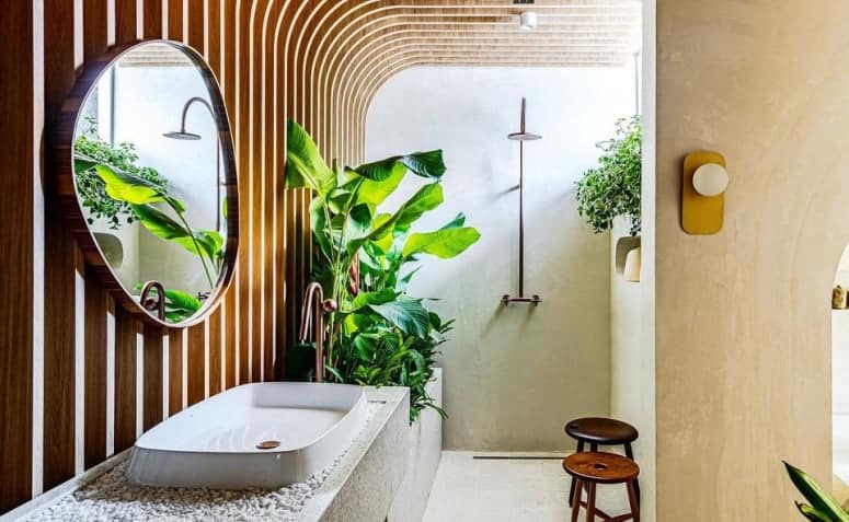 Plantas na decoração reforçam a conexão com a natureza