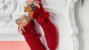 Flor de Natal: Dicas para Cuidar e Arranjar 6 Enfeites de natal criativos para você fazer em casa.