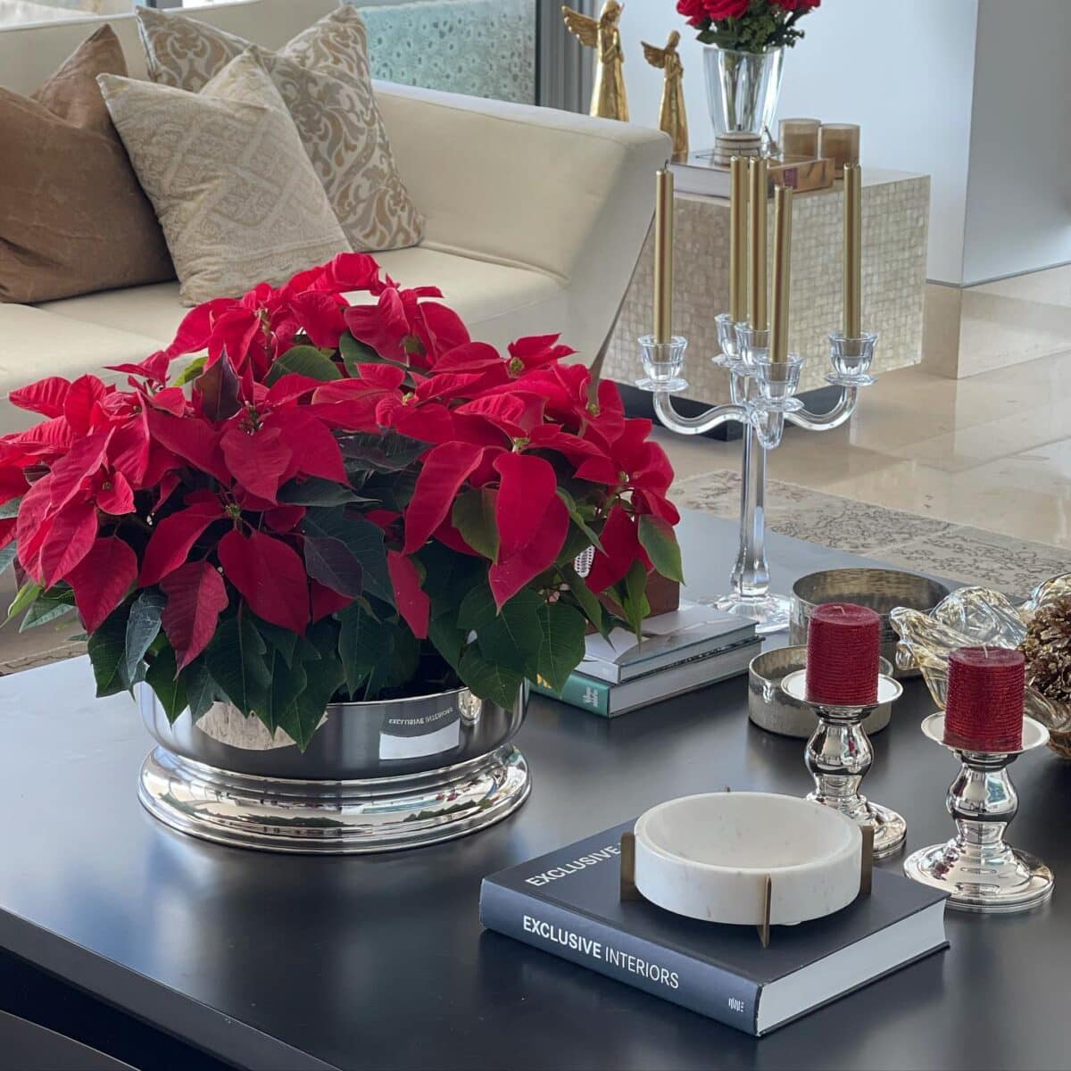 Flor de Natal: Dicas para Cuidar e Arranjar 9 A poinsétia é conhecida como flor do Natal, com suas folhas modificadas coloridas.