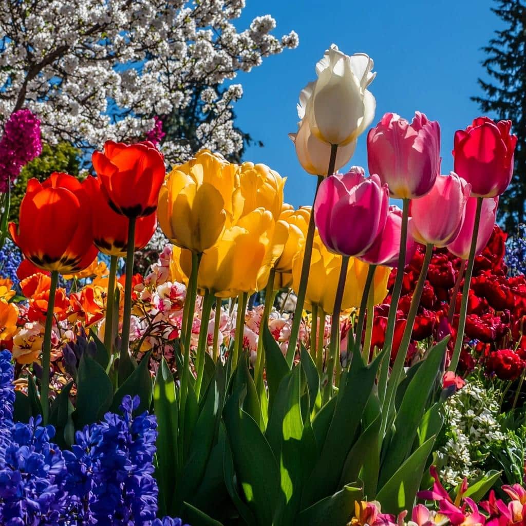 Flores que Florescem na Primavera: Adicione Cores ao Seu Jardim 1 Flores que Florescem na Primavera: Adicione Cores ao Seu Jardim