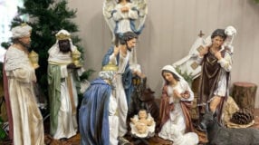 Flor de Natal: Dicas para Cuidar e Arranjar 8 Fotos de presépio para completar sua decoração de Natal.