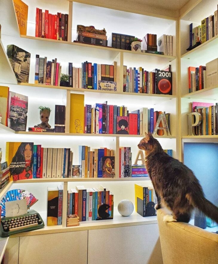 Como organizar sua biblioteca em casa: Descubra 10 inspirações para transformar seu espaço 1 Imagem de leitura no estilo contemporâneo