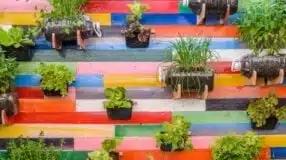 Vasos de Parede: 10 Ideias Para Transformar Seu Jardim Suspenso 7 Horta suspensa com ideias criativas para ter alimentos orgânicos em casa.