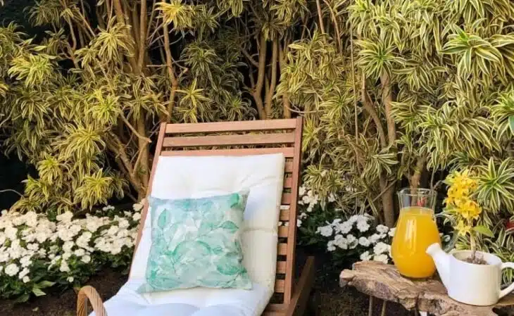 6 Dicas criativas para ter um jardim simples e incrível 5 Jardim iluminado à noite com luminárias destacando as plantas.