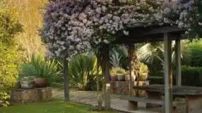 Foto de paisagismo