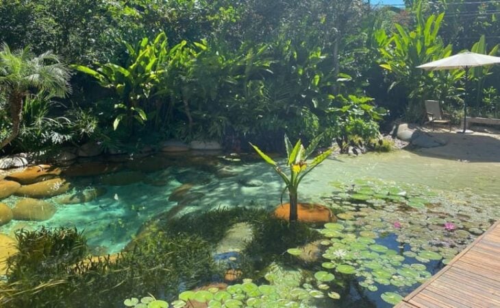 Foto de piscina natural