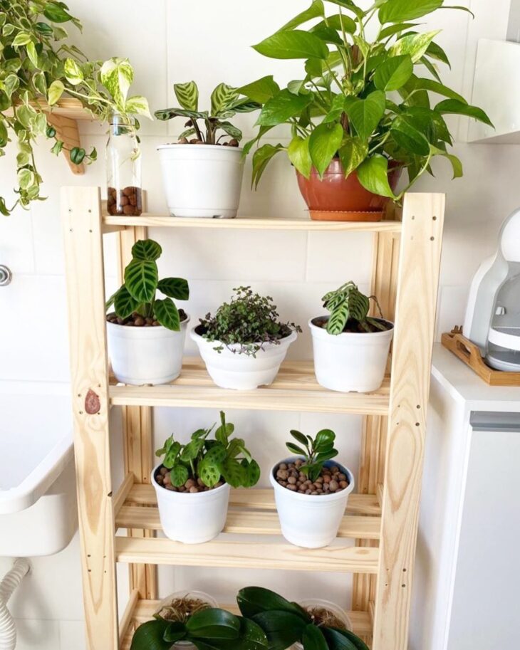 Prateleiras para Plantas: 10 Ideias e Tutoriais para Encher a Vida de Verde 9 A madeira pinus é bastante utilizada