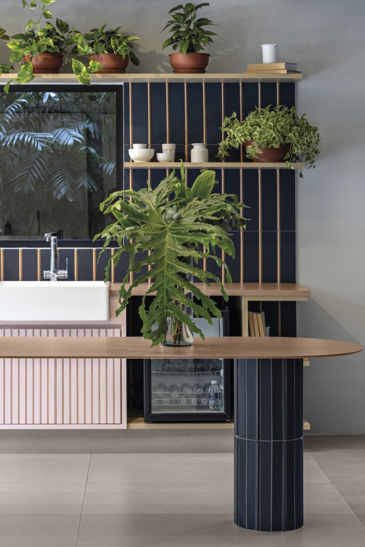 Área do bar com revestimento colorido e decorado com suculentas e plantas