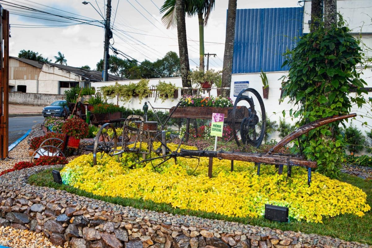 5 razões para visitar o Jardim Mais Bonito do Brasil. 2 5 razões para visitar o Jardim Mais Bonito do Brasil.