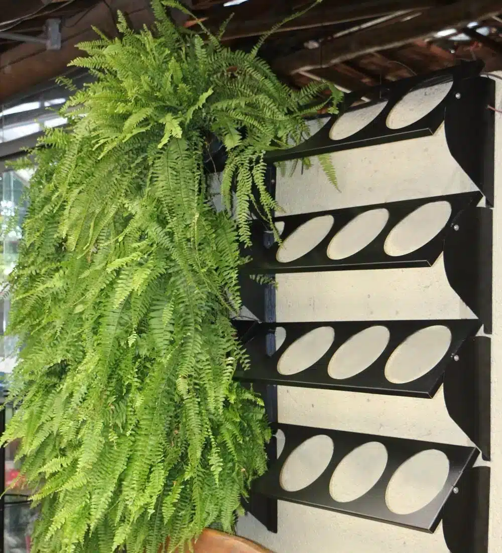 Paredes Verdes: A Solução Perfeita para Ambientes Internos 7 Jardim vertical modular com peças se acoplando tanto na horizontal quanto vertical.