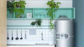 10 Dicas e Cuidados Essenciais para Cultivar Planta-Tapete em Casa 7 Imagem de plantas pendentes em um espaço verde