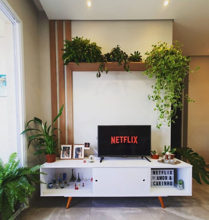 Prateleiras para plantas: 10 ideias e tutoriais para encher a vida de verde 1 Prateleiras altas são ótimas para plantas pendentes