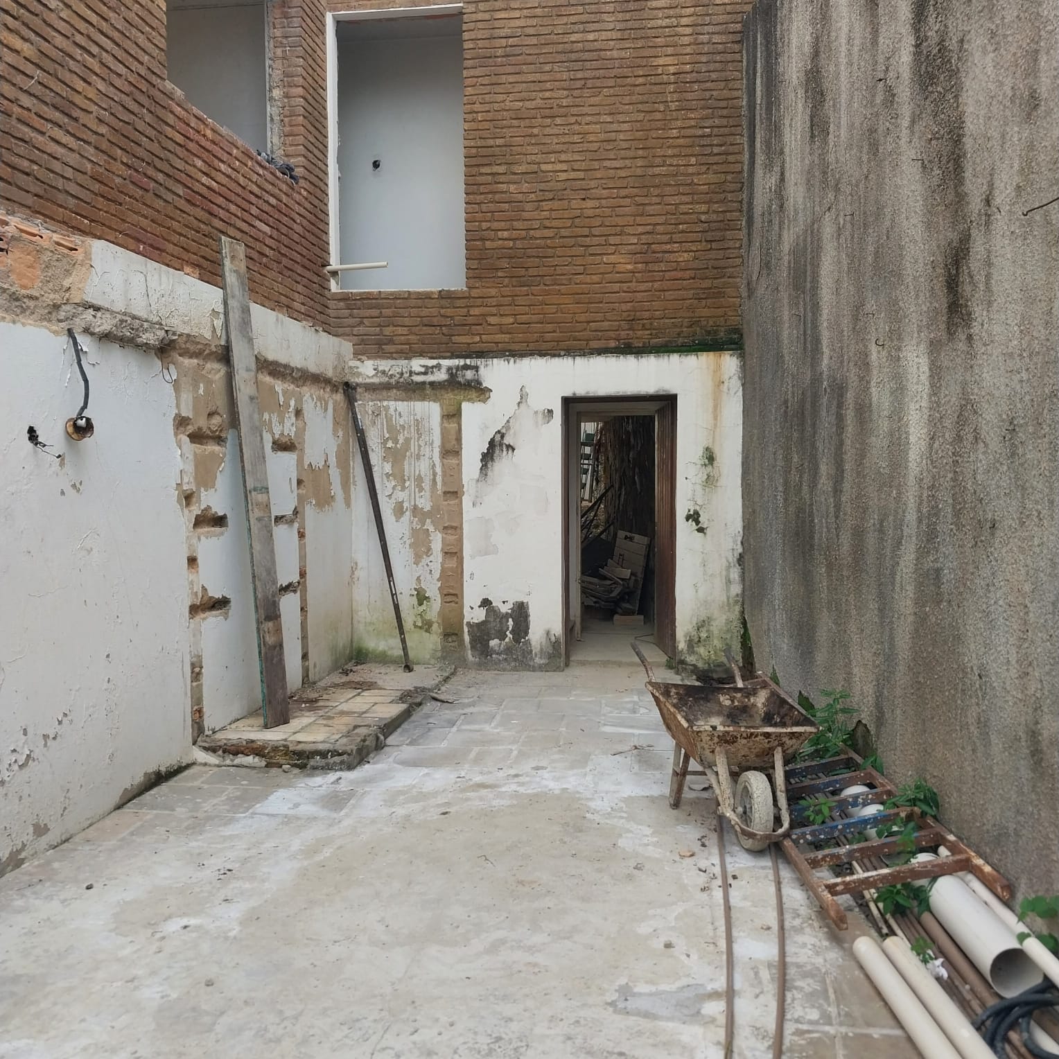Transformando um Quintal Abandonado: Jardim Tropical, Piscina para Gansas e Lavanderia Moderna. 1 Transformando um Quintal Abandonado Jardim Tropical Piscina para Gansas e Lavanderia Moderna