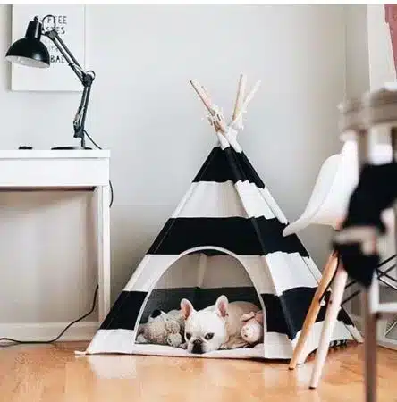 Decoração para Pets: Dicas Incríveis para Seu Lar 9 Casa: Pinterest