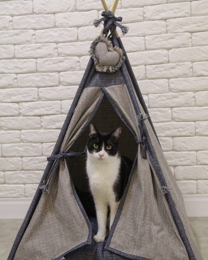 Casinhas para Gato: Ideias e Modelos de Decoração 10 1 Imagem de uma casinha para gato em um lugar alto, ideal para gatos que gostam de observar o ambiente.