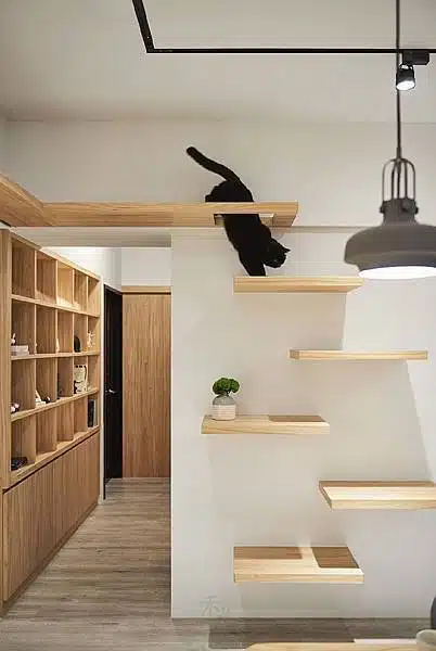Decoração para Pets: Dicas Incríveis para Seu Lar 10 Decoração para pets: mantenha prateleiras livres para os gatos