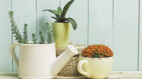 Floreira de Parede: Como Criar um Ambiente Aconchegante e Verde com 10 Dicas 5 Floreiras em destaque com vários tipos de flores.