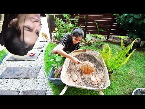 Canteiros de Jardim: Como Criar Modelos Incríveis 5 Canteiro de jardim vertical é uma escolha ideal para quem mora em locais compactos.