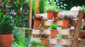 Conheça 10 Ideias de Prateleiro Rústica para Decorar Seu Lar 7 A prateleira rústica pode ser robusta e chamativa, ideal para decorar e organizar espaços.