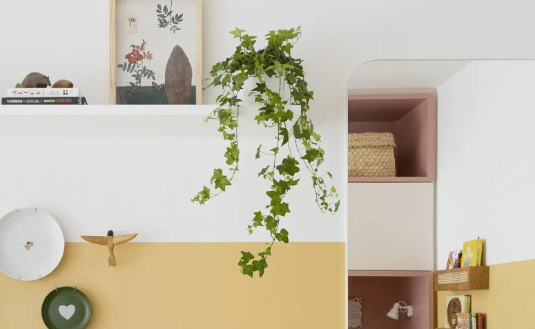 Plantas para Quartos: 10 Opções para Decorar seu Cantinho 10 Ana Toscano Arquitetura.