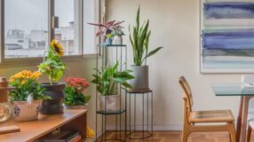 Tinta lousa: Como escolher e 10 inspirações divertidas 7 plantas que absorvem energias negativas