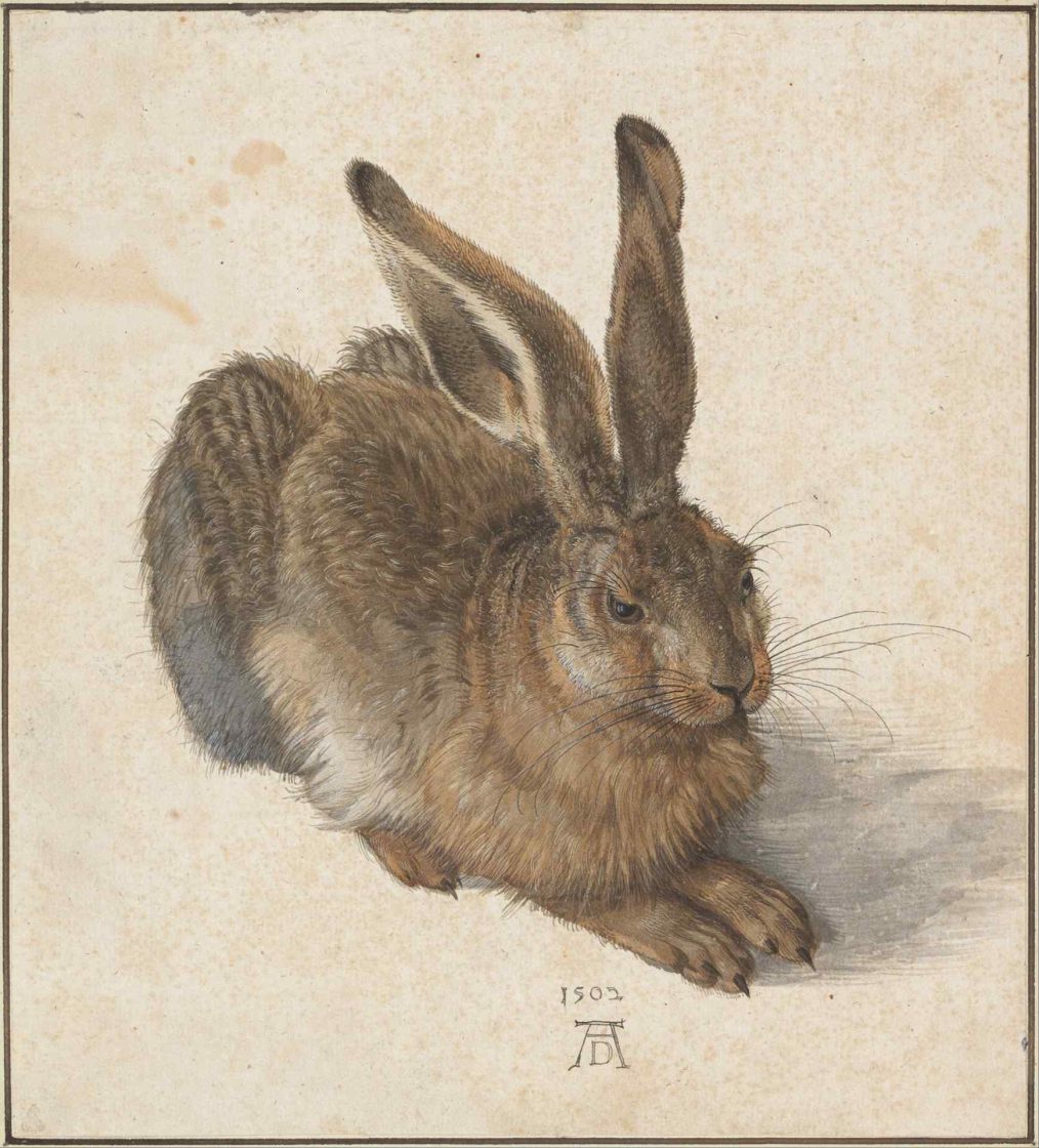 Revestimento Aquarelado: O Charme do Artesanal na Decoração 10 9 “Young Hare”, pintura em aquarela de 1502 feita por Albrecht Dürer (Imagem: Google Arts & Culture)