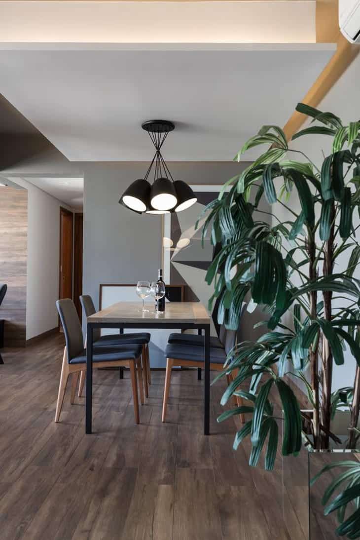 Aposte na decoração minimalista em tons de cinza: o apartamento do jovem solteiro 2 Espaço verde no apartamento com plantas de sombra.