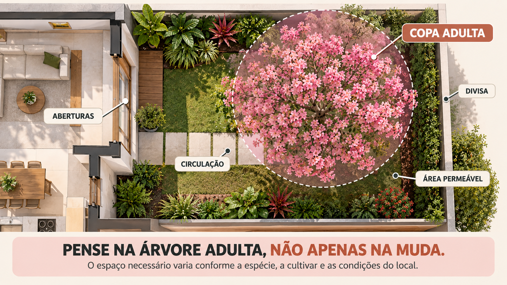 10 árvores com flores rosas para jardim: espécies e cuidados 14 Planta paisagística mostrando árvore de flores rosas adulta em um jardim residencial pequeno