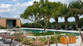 Inspire-se com 70 Ideias Criativas de Varandas de Madeira para Transformar Seu Lar! 7 10 árvores para jardim que garantem uma área verde e aconchegante